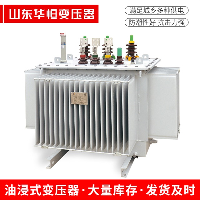 S13-10000/35花溪花溪花溪电力变压器